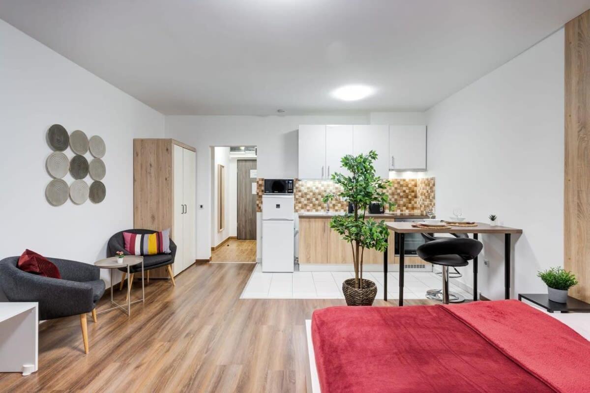 Homey New Great Area Apartment *