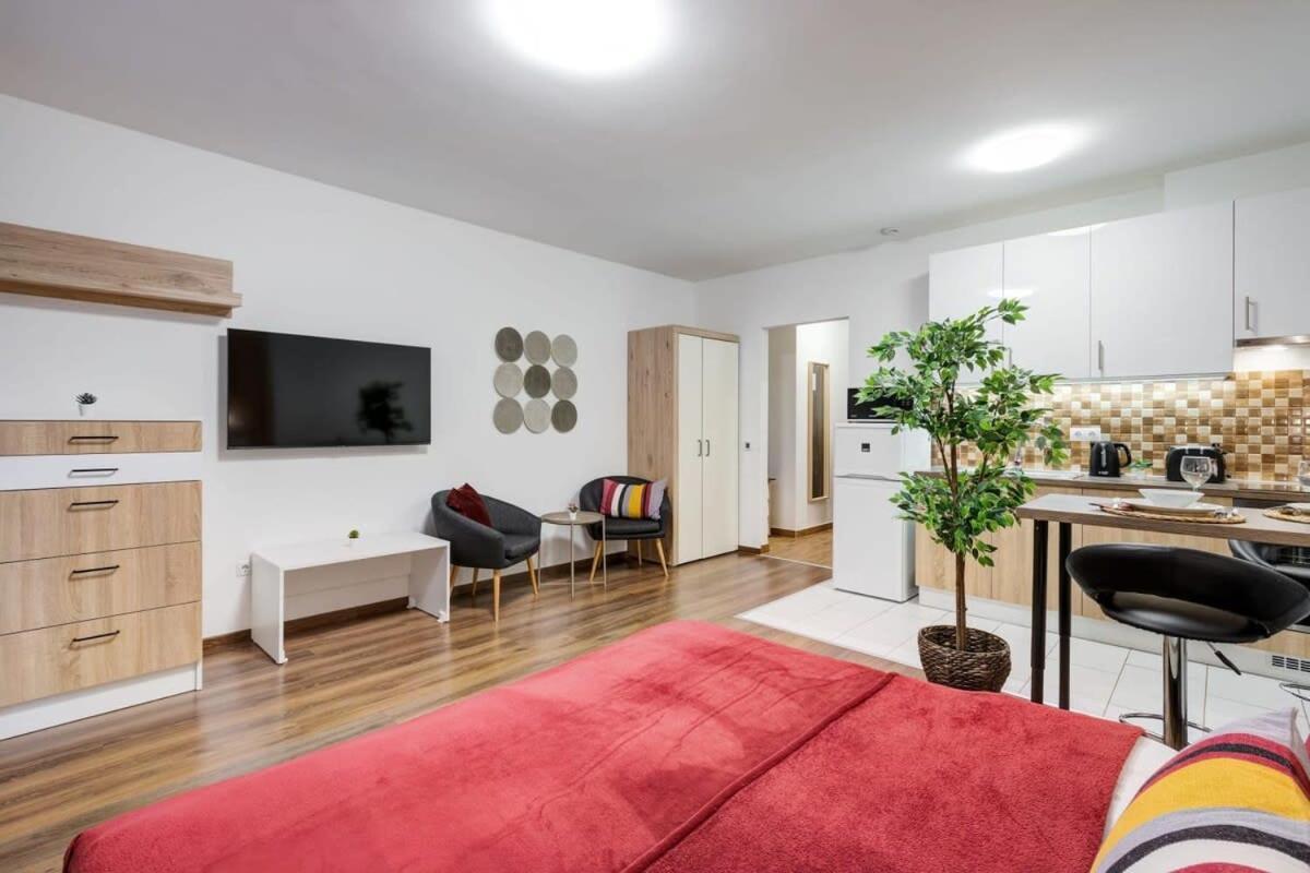 Apartment Homey New Great Area *