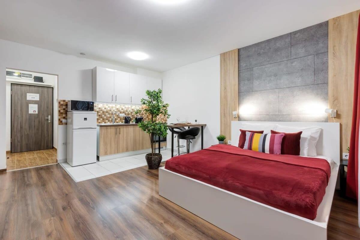 Homey New Great Area Apartment