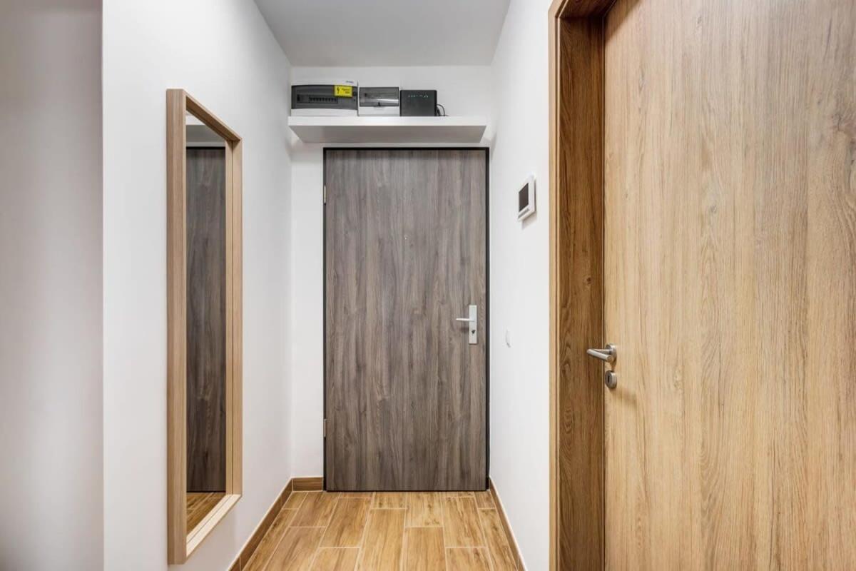 Apartment Homey New Great Area *