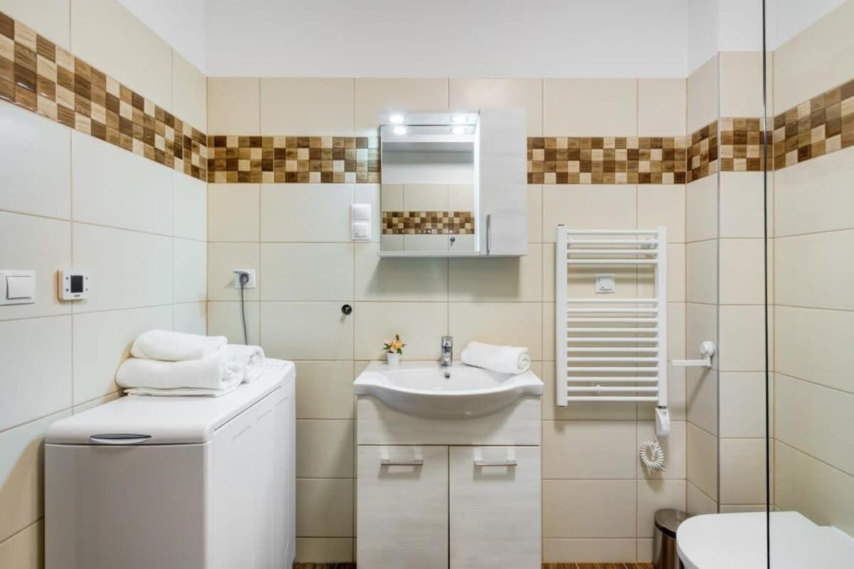 Homey New Great Area Apartment