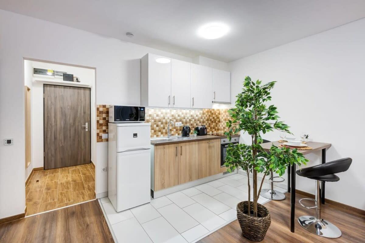 Homey New Great Area Apartment *