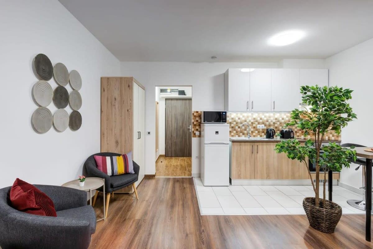 Apartment Homey New Great Area *