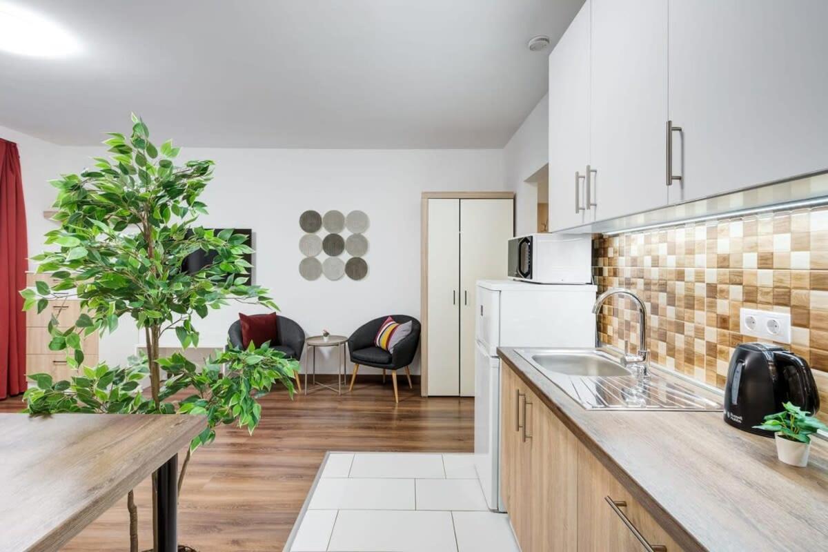 Apartment Homey New Great Area *